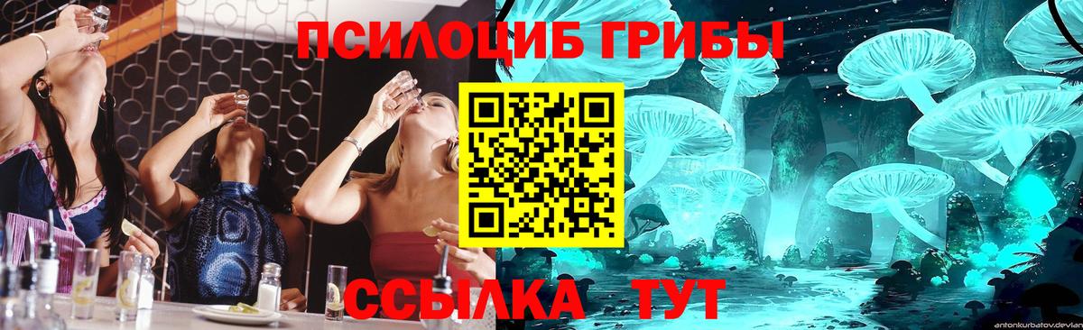 Владикавказ  Псилоцибиновые грибы Cubensis  Вход с VPN 